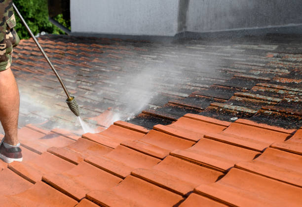 Best Residential Pressure Washing Services  in Braddock, PA