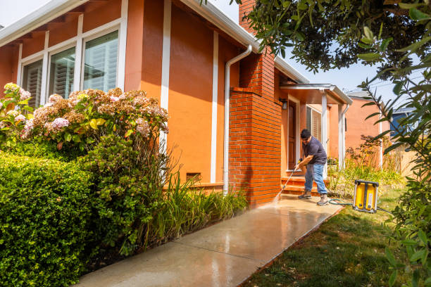 Best Power Washing Near Me  in Braddock, PA