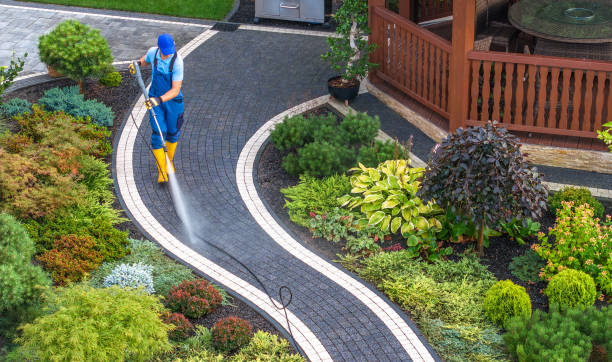 Best Pressure Washing Near Me  in Braddock, PA